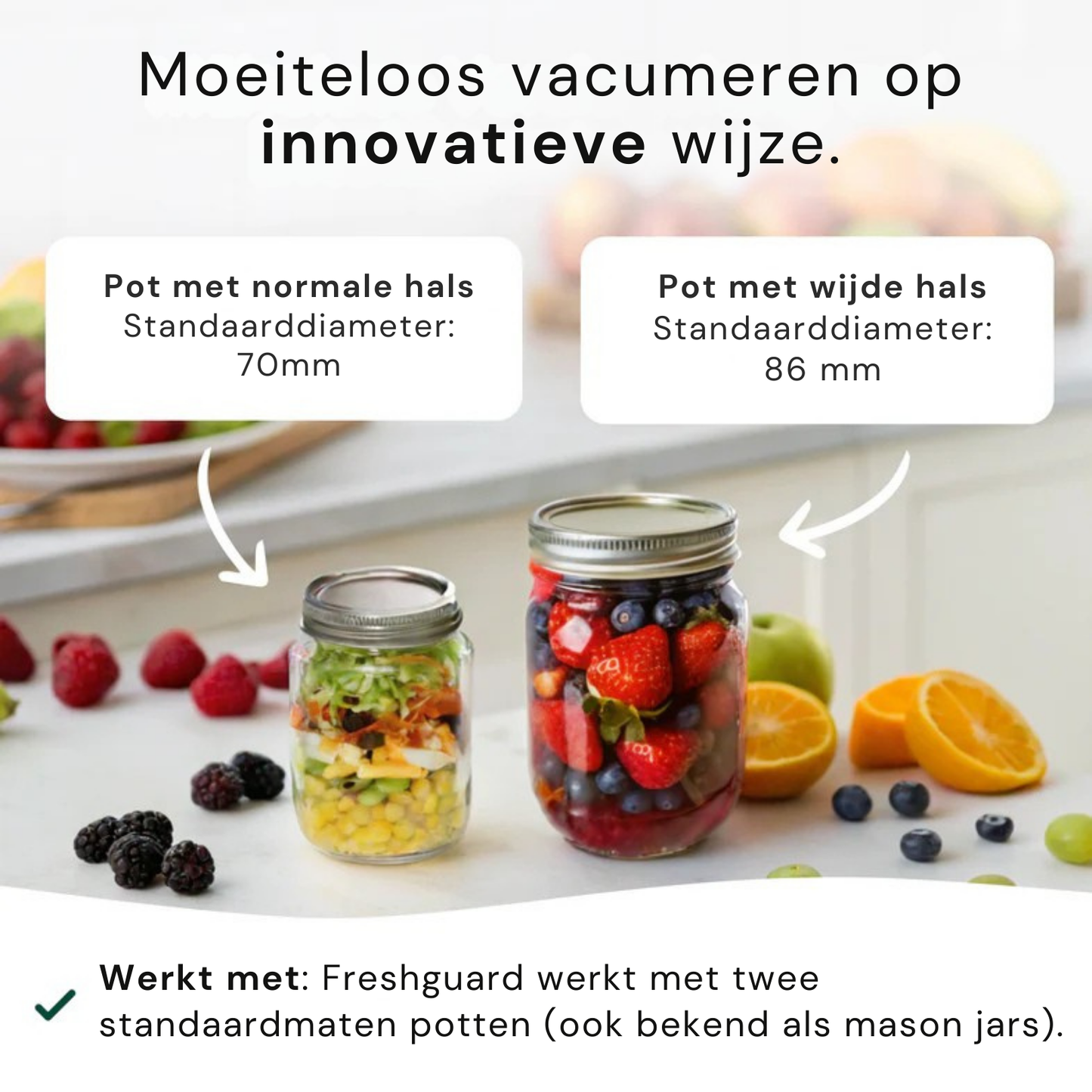 VacuuFresh Food Sealer
