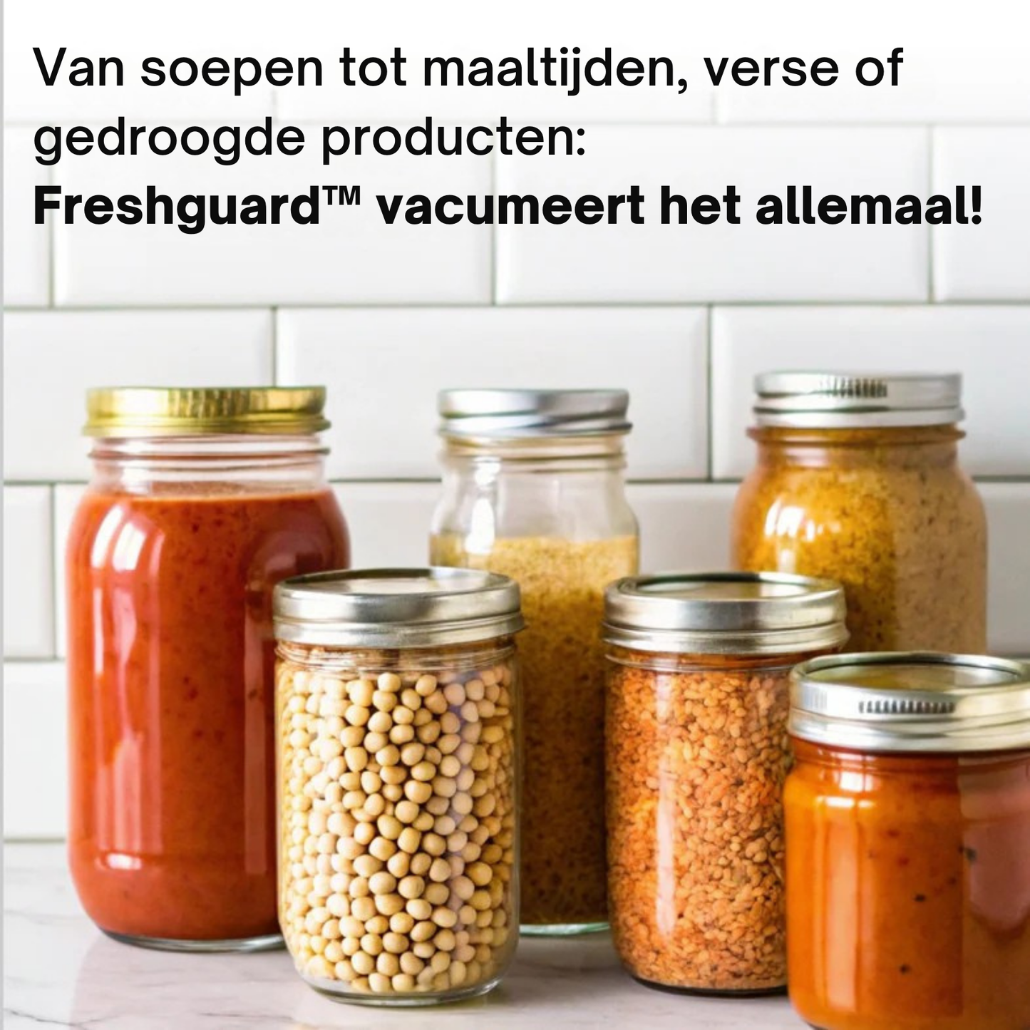 VacuuFresh Food Sealer